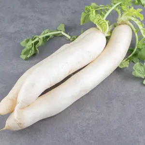 Fresh- radish