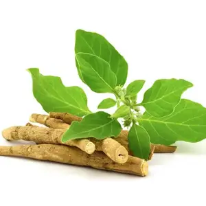 Ashwagandha extract