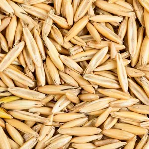 Avena sativa Extract