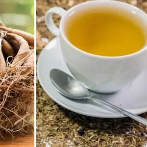 Shatavari tea cut