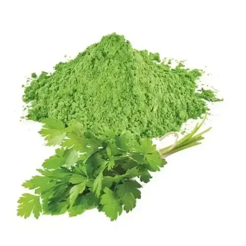 coriander leaves powder