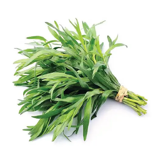 Tarragon