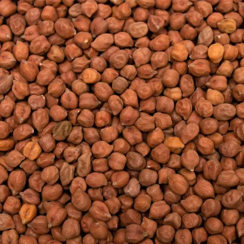 Brown chick peas