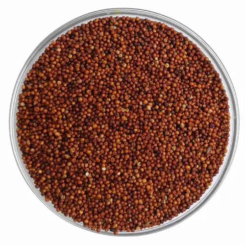 Ragi