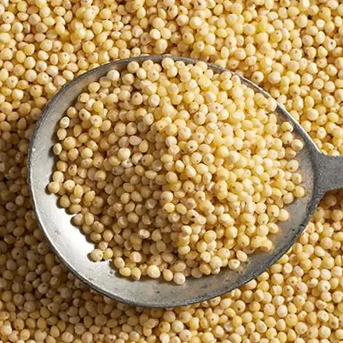 Millet
