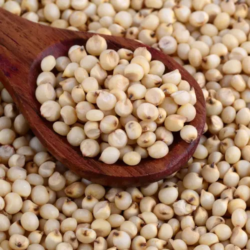 Jowar
