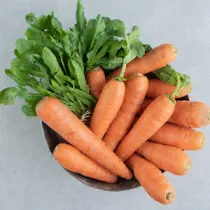 Fresh Carrot