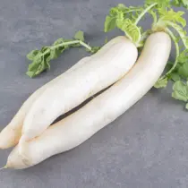 Fresh- radish