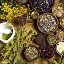 Herbal extract