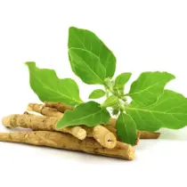 Ashwagandha extract