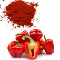 Capsicum extract