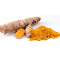 corcuma longa