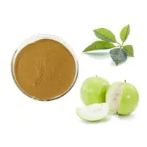 Guava Extract Herbal