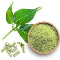 Gymnema Silvestre Extract Herbal