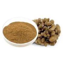 Mushroom Extract Herbal