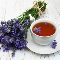 lavender buds tea