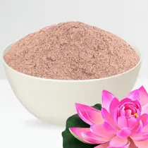 Lotus