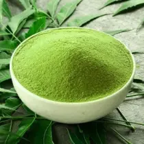 Neem leaves