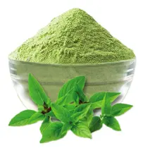 Tulsi