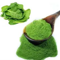 Spinacs powder
