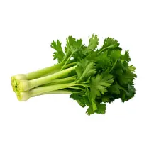 Celery