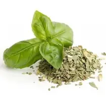 Basil