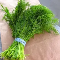 Dill
