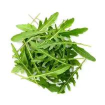 Arugula