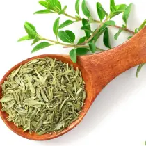Thyme