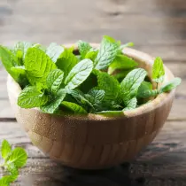 Mint