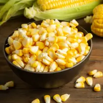 Corn (Maize)