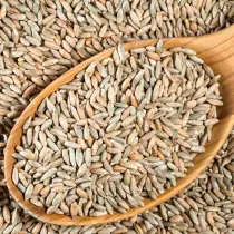 Rye