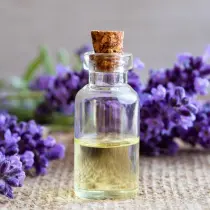 Lavendar