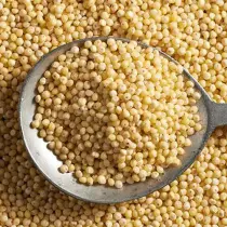 Millet